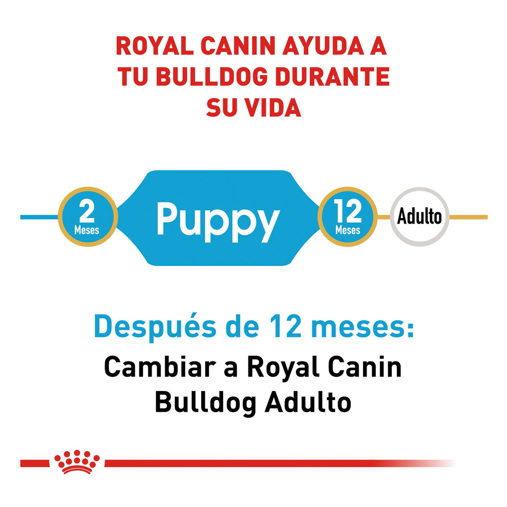 ROYAL CANIN - Alimento Seco Para Perro Cachorro Raza Bulldog 2.72 Kg