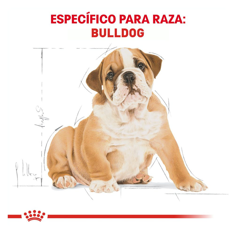 ROYAL CANIN - Alimento Seco Para Perro Cachorro Raza Bulldog 2.72 Kg