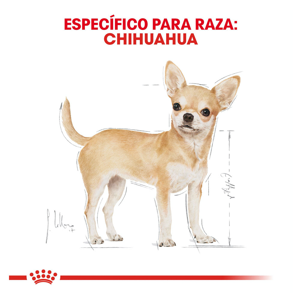 ROYAL CANIN - Alimento Seco Chihuahua Adulto 4.5 kg