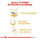 ROYAL CANIN -  Alimento Seco Shih Tzu Adulto 4.54 kg