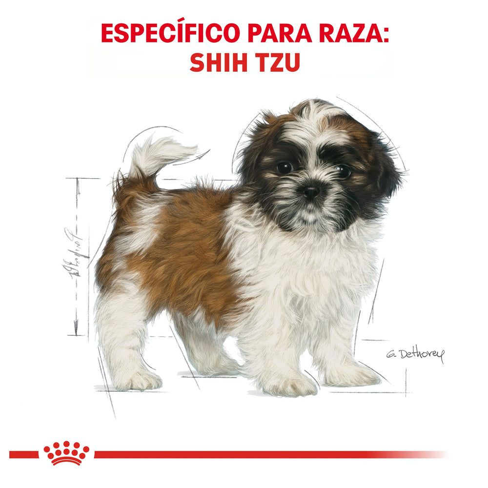 ROYAL CANIN -  Alimento Seco Shih Tzu Cachorro 1.1 kg