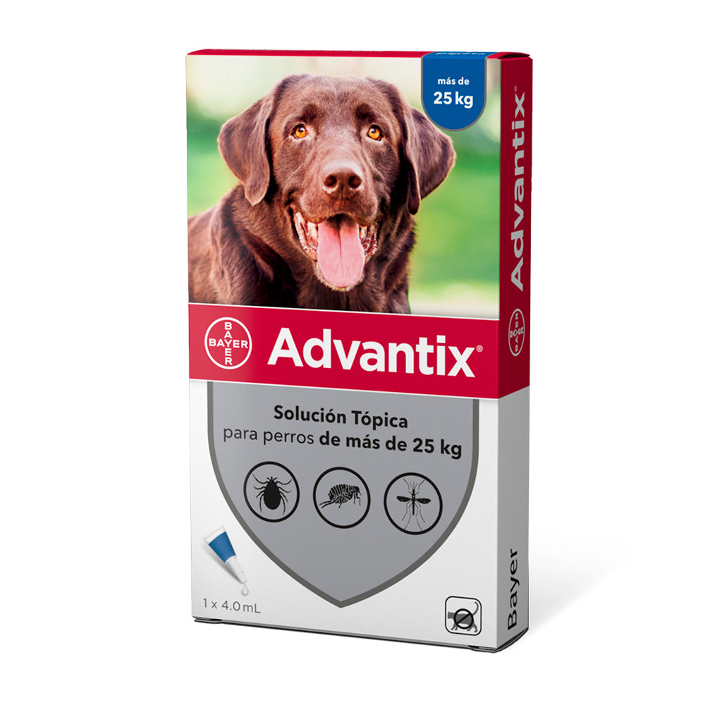 ADVANTIX - Producto para pulgas, producto para garrapatas