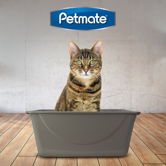 Arenero Petmate Jumbo