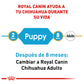 ROYAL CANIN - Alimento Seco Chihuahua Cachorro 1.1 kg