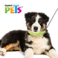 FANCY PETS - Collar Para Perro De Nylon Con Bandas Reflejantes Med