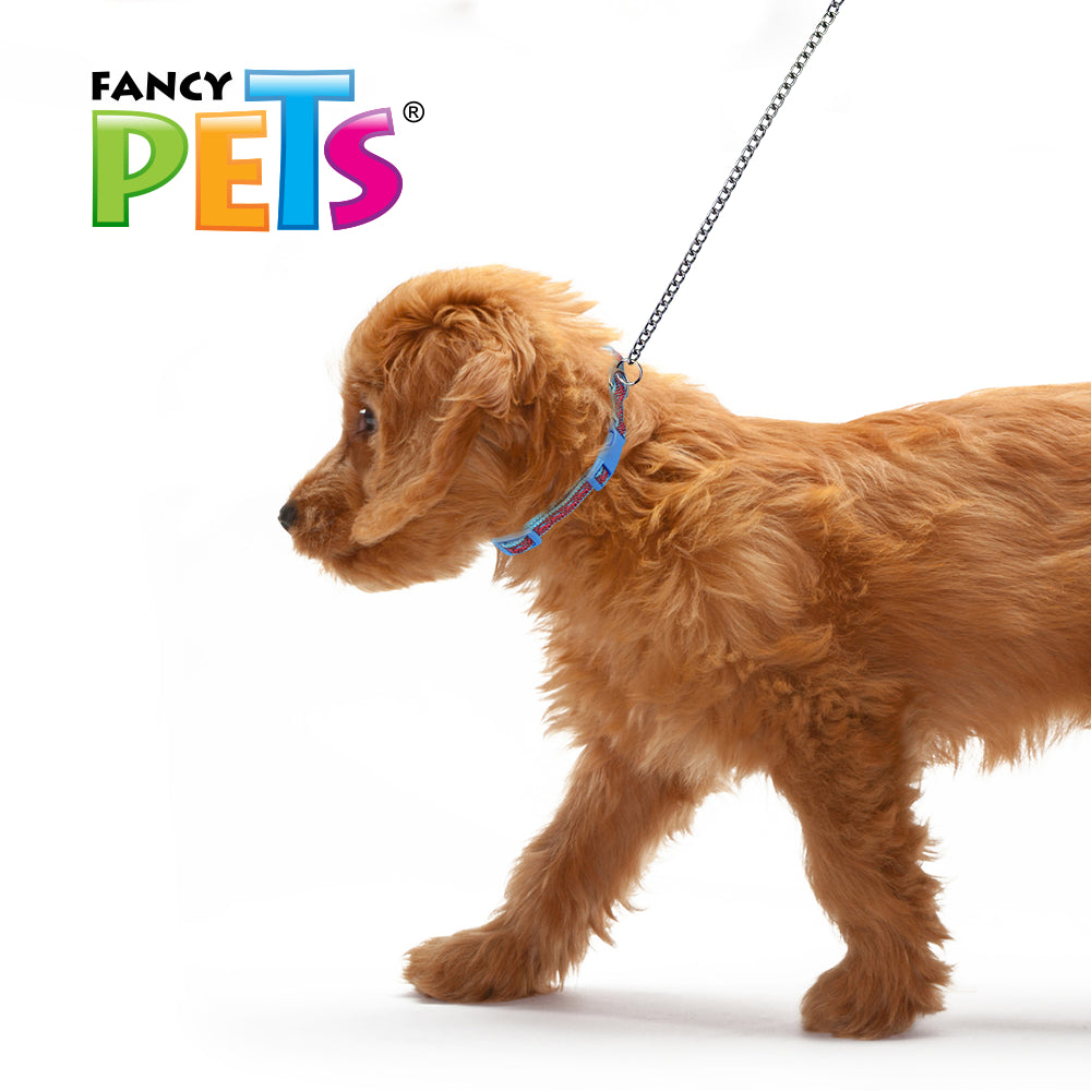 FANCY PETS - Collar Para Perro De Nylon Con Listón Bordado CH