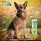 FANCY PETS - Collar Nylon con Listón Bordado Grande