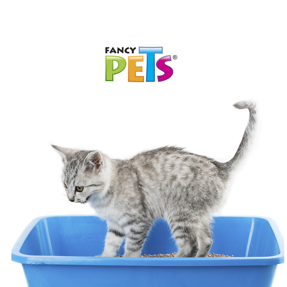 FANCY PETS - Arena para Gato 3 KG