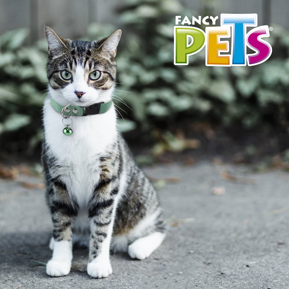 FANCY PETS - Collar Elástico con Cascabel para Gato