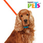 FANCY PETS - Correa Para Perro De Nylon Med