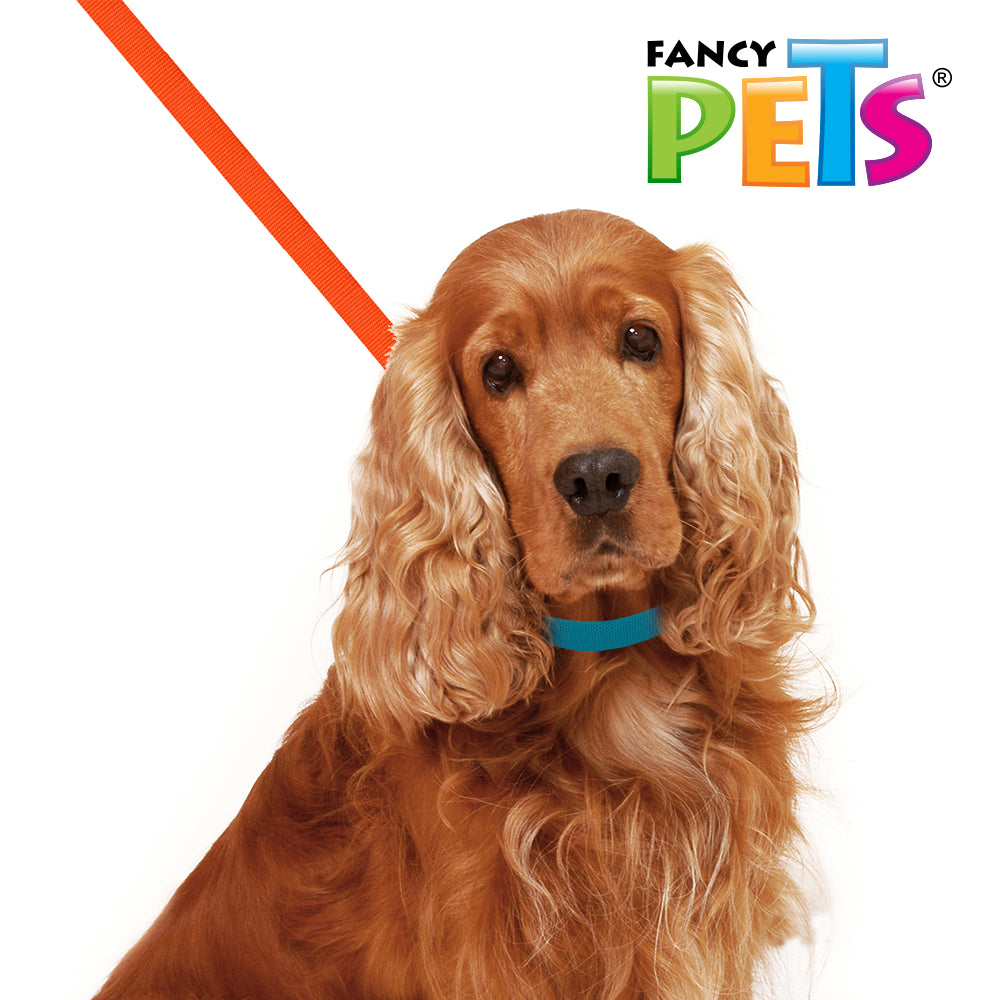 FANCY PETS - Correa Para Perro De Nylon Med