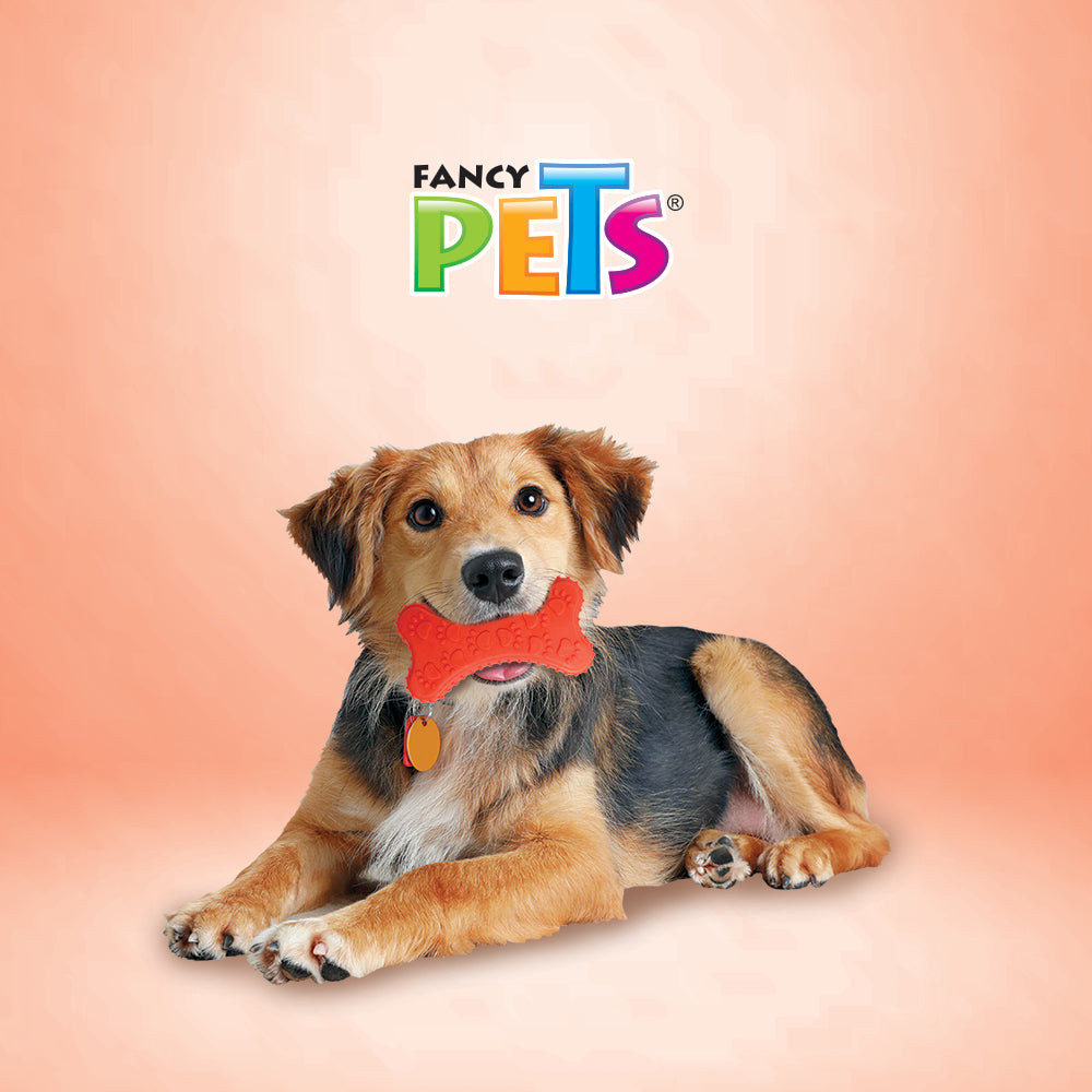 FANCY PETS - Hueso con Huellas