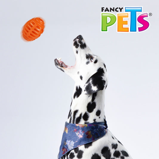 FANCY PETS - Juguete Balón de Rugby Grande para Premio