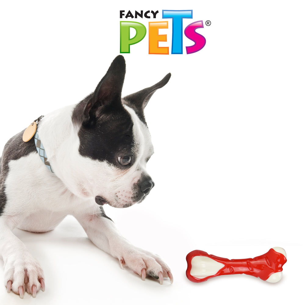 FANCY PETS - Juguete Dental Hueso Sabor Pollo