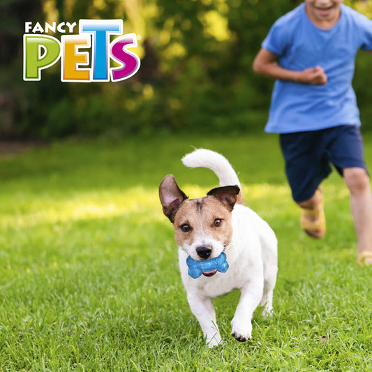 FANCY PETS - Juguete Para Perro Forma De Hueso Prisma Con Sonido CH