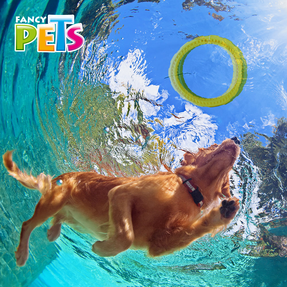 FANCY PETS - Juguete Masticable Aro Grande