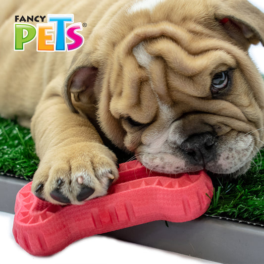 FANCY PETS - Juguete Masticable de Hueso Ch