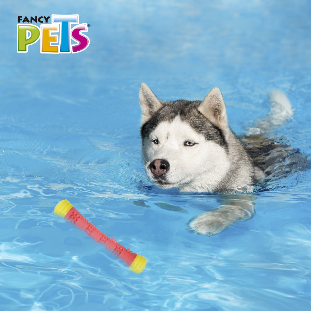 FANCY PETS - Juguete Para Perro Vara Mágica Chew CH