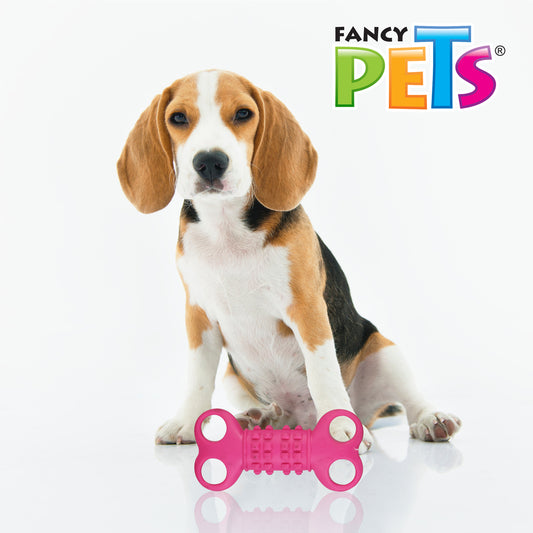 FANCY PETS - Juguete Hueso De Caucho Para Perro