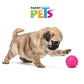 FANCY PETS - Juguete Pelota De Caucho Para Perro