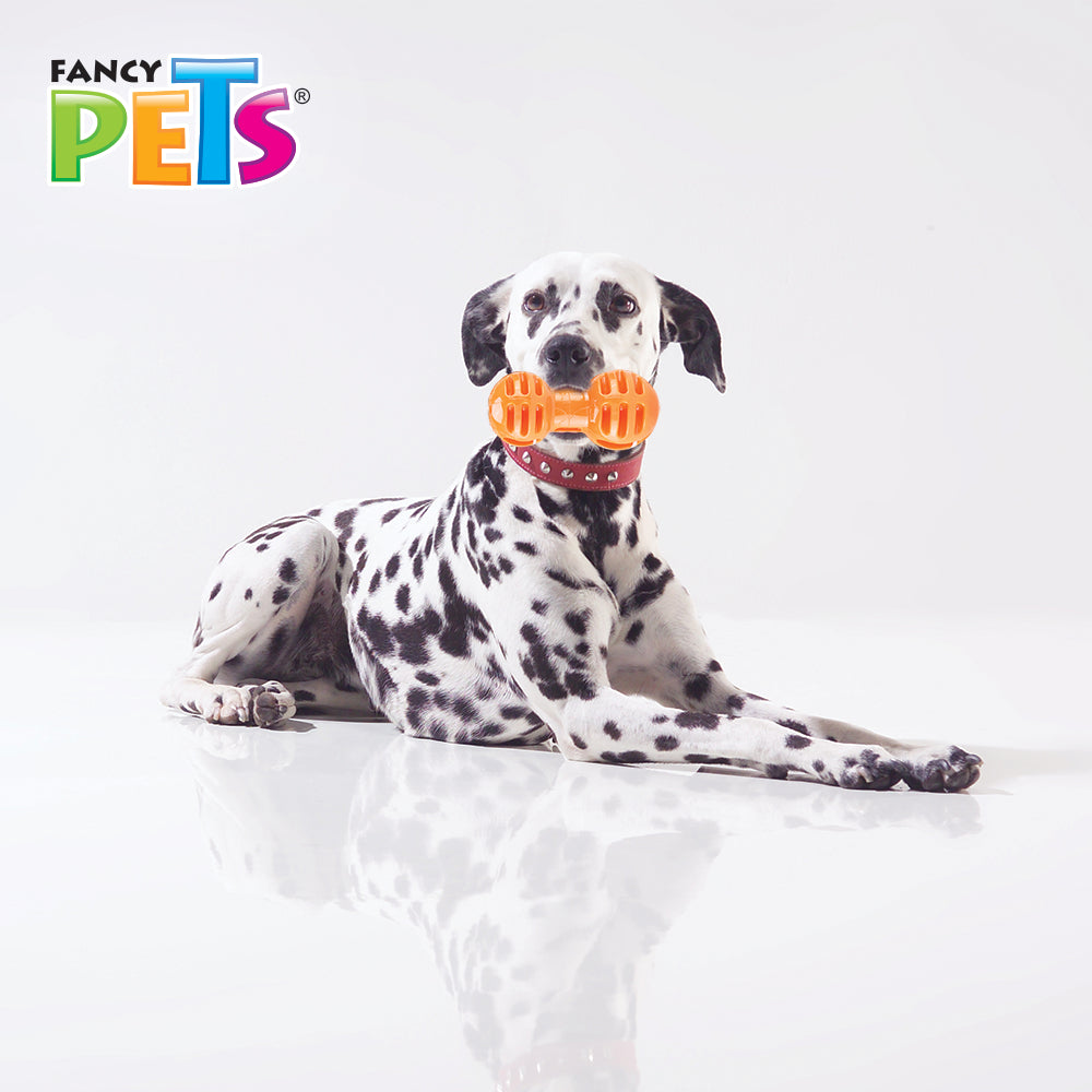 FANCY PETS - Juguete Para Perro De Pesa para Premio Gde