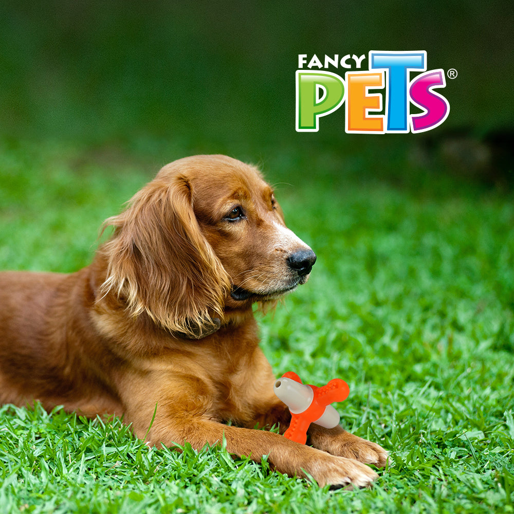 FANCY PETS - Matatena con Sonido