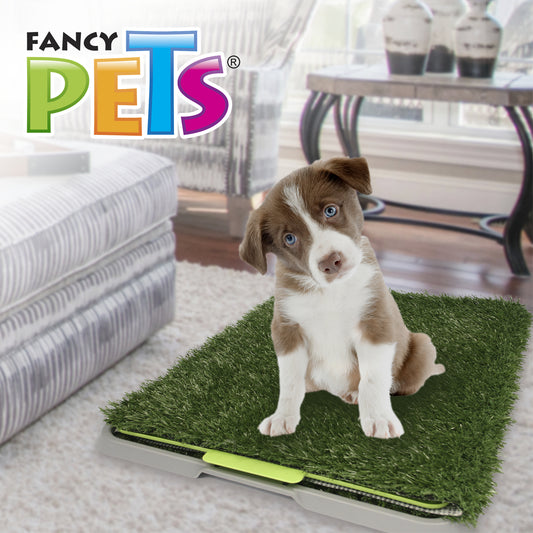 FANCY PETS - Tapete Entrenador Doggie Grass Chico