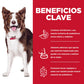 Hill's Science Diet Perfect Digestion - Alimento Seco para Perro Adulto 5.4 kg Digestión Perfecta