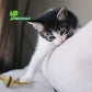 NATURANCE - Juguete Eco para Gato Bola con Plumas