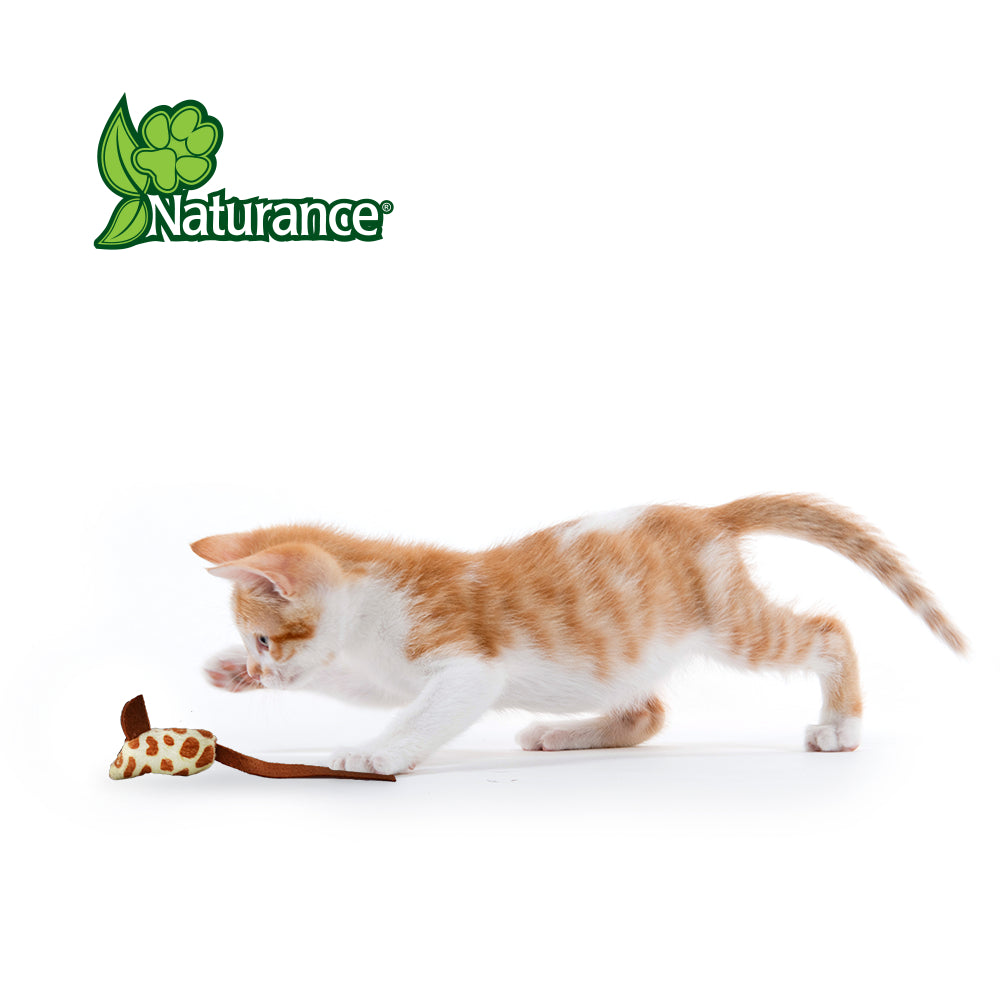 NATURANCE - Juguete Para Gato Ratones De Eco 3 Pzas