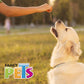 FANCY PETS - Palitos de Carnaza de Res 20 pzas Natural