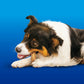 DENTALIFE - Premios Para Perro Razas Chicas y Medianas 198 g