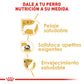 ROYAL CANIN - Alimento Seco Yorkshire Terrier Adulto 4.54 kg