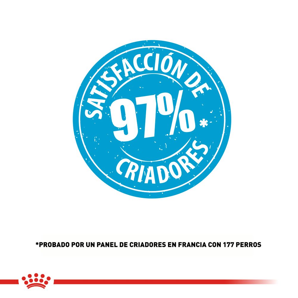 ROYAL CANIN - Alimento Seco Para Perro Cachorro Razas Medianas 2.7 Kg