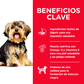 HILL'S SCIENCE DIET - Small Paws Alimento Seco Adulto Razas Mini y Pequeñas 2 kg