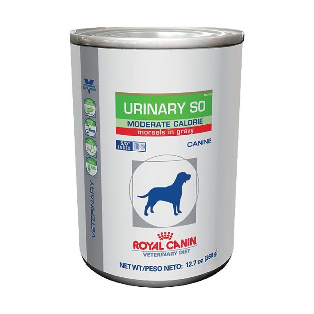 ROYAL CANIN - Tracto Urinario Calorías Moderadas Adulto Lata 368 gr